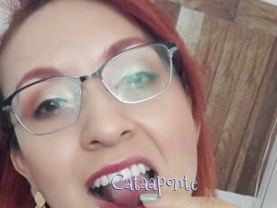 Cataaponte