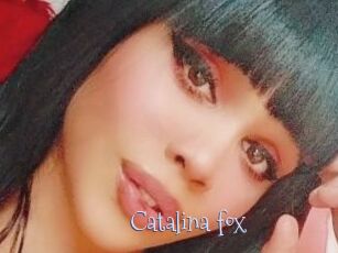 Catalina_fox