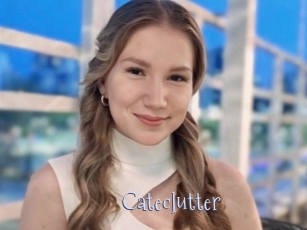Cateclutter