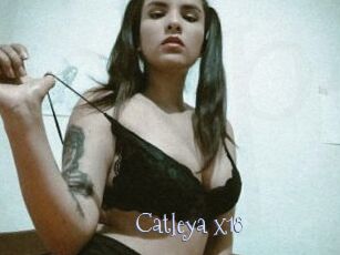 Catleya_x18