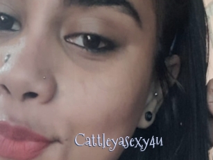 Cattleyasexy4u