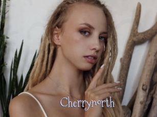 cherrynorth Faceporno