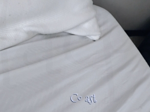Co_ast