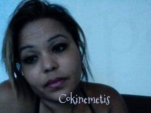 cokinemetis Faceporno