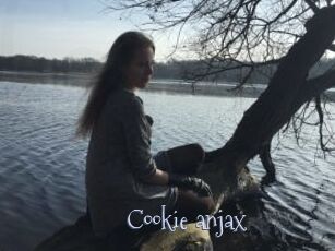 Cookie_anjax