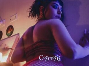 Cosmosis