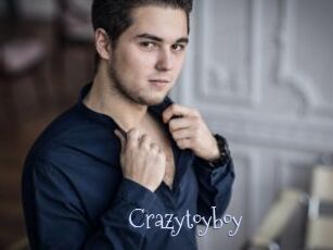 Crazytoyboy