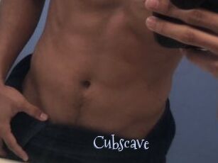 Cubscave
