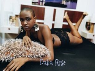 Dalia_Rose
