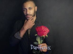 DamFenix