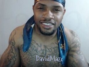 David_Maze