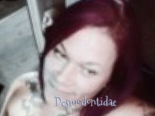 Desmodontidae