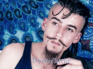 DominicTerrier Faceporno