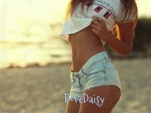 DoveDaisy