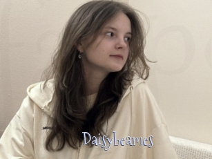 Daisybeames