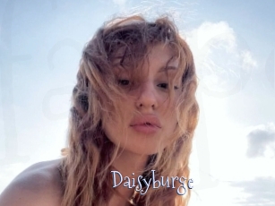 Daisyburge