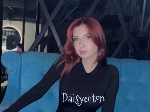 Daisyecton