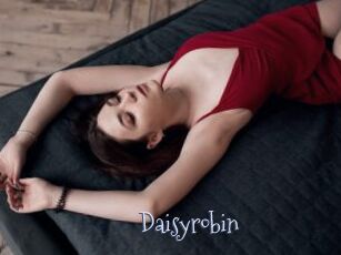 Daisyrobin