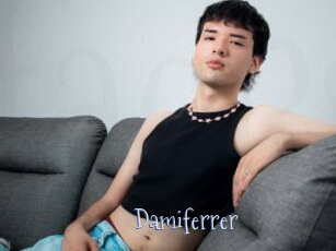 Damiferrer