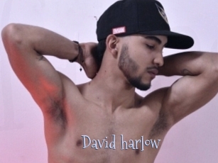 David_harlow
