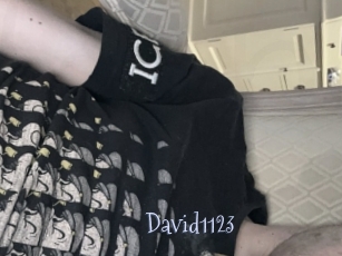 David1123