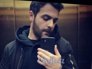 Davidbudz