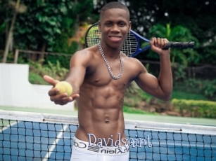 Davidgaint