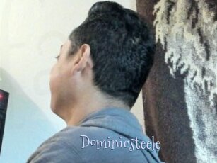 Dominicsteele