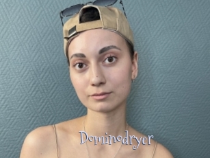 Dominodryer
