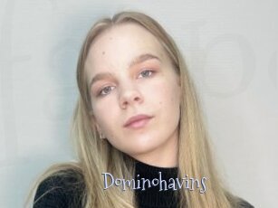 Dominohavins