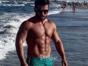 Domluc