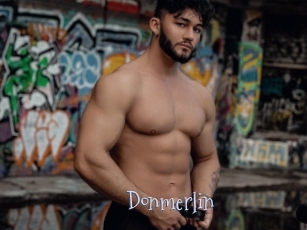 Donmerlin