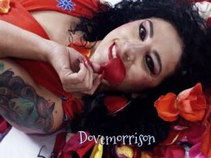 Dovemorrison