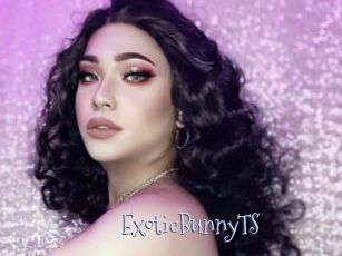 ExoticBunnyTS