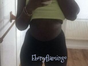 Ebony_flamingo