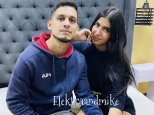 Elektraandmike