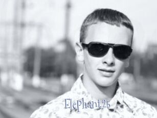 Elephant25
