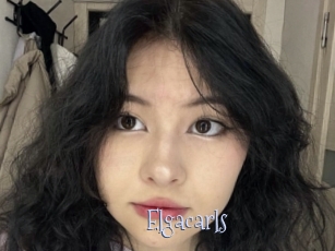 Elgacarls