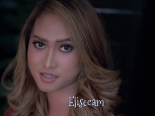Elisecam