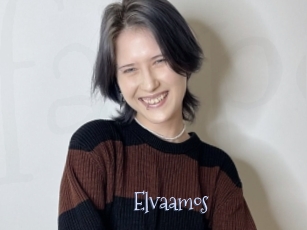 Elvaamos
