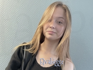 Elvabigge