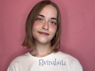 Elvinabute