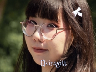 Elvinagitt