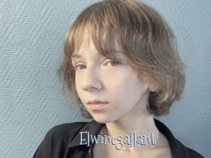 Elwinegallant
