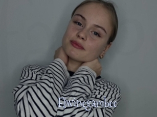 Elwinegambee