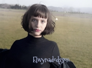 Elwynadodgson