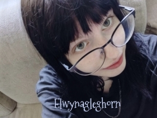 Elwynagleghorn