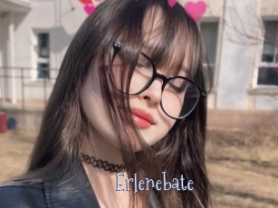 Erlenebate