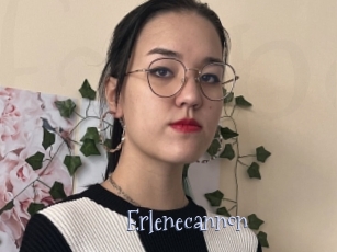 Erlenecannon