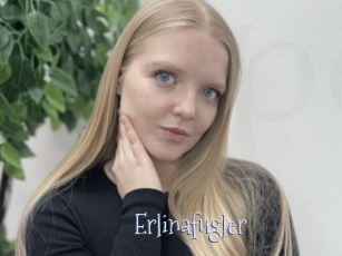 Erlinafugler